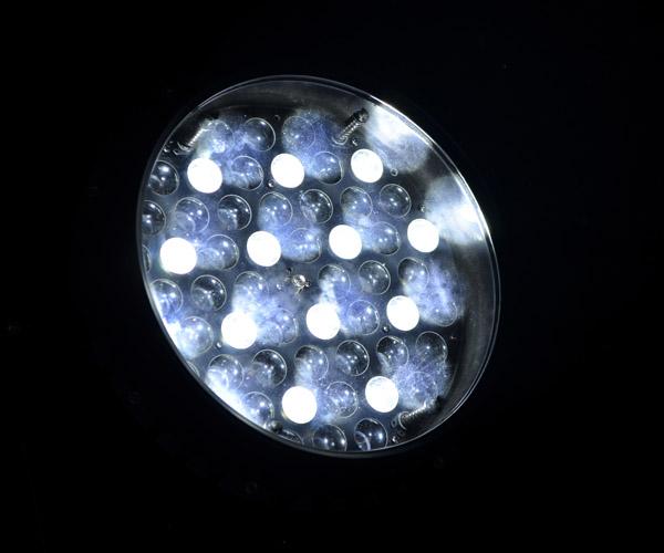 Fase profissional do diodo emissor de luz do zumbido exterior da paridade do diodo emissor de luz da lâmpada do Cree que ilumina IP65 impermeável